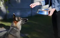 Water- voederbakken en drinkflessen