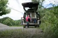 Autokooien en kennelmateriaal