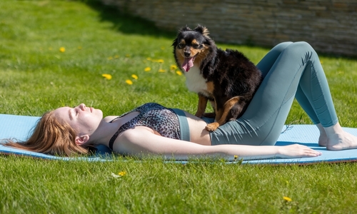 Yoga met je hond