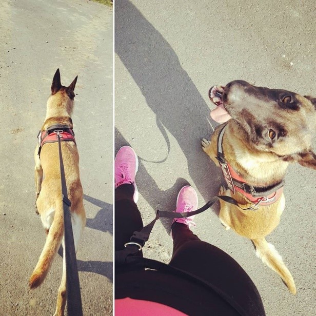 Ramos lekker mee tijdens lange wandelingen