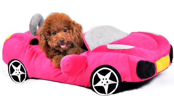 Race-auto hondenmand