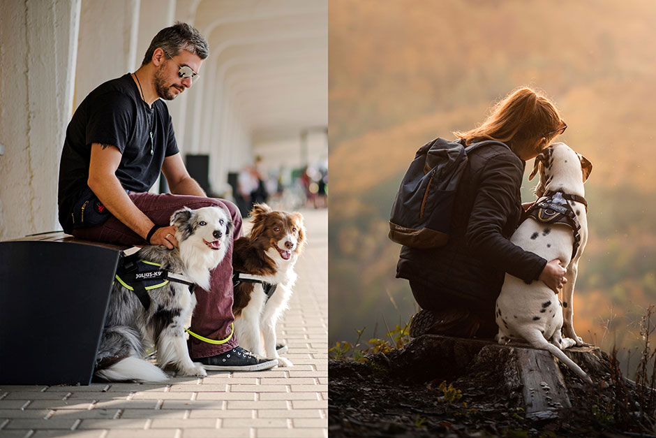 Hondentuigen bij verschillende activiteiten