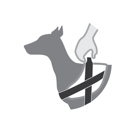 Hoe houd je veilig een tuig vast