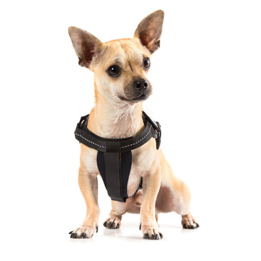 IDC borststuk voor hondentuig