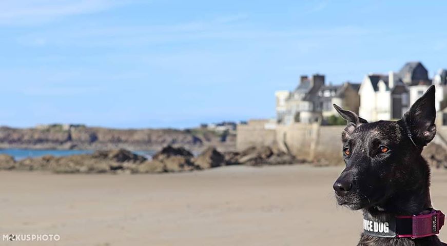 Jade heeft het strand in Saint-Malo veroverd. 