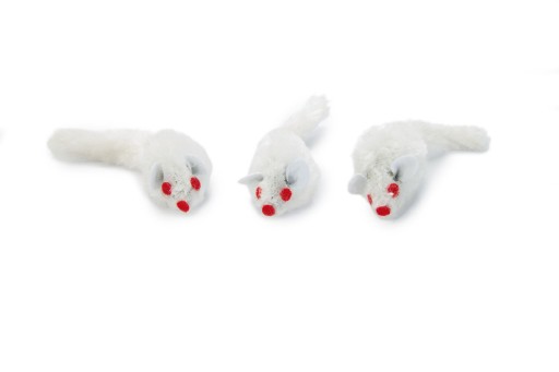 Pluche muisjes 3 stuks kattenspeelgoed - Wit