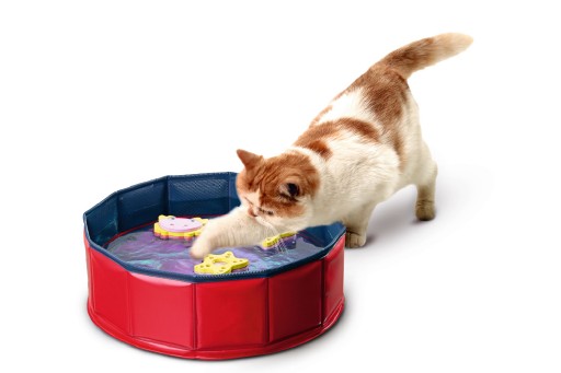 Katten speelbad Splash