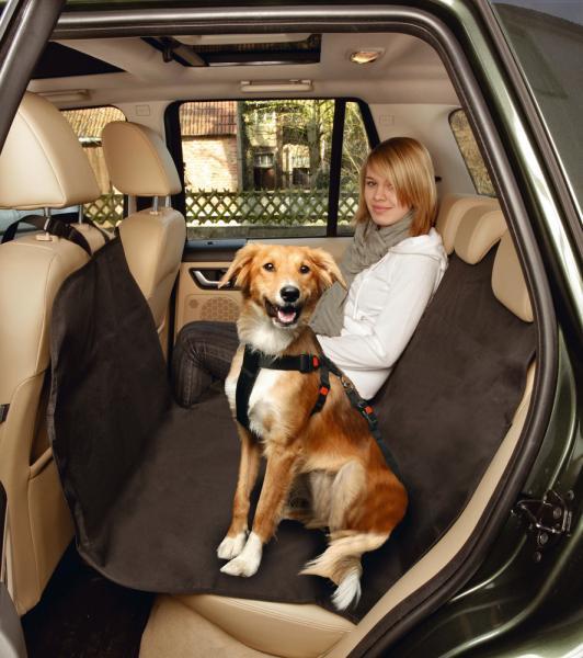 Beeztees Beschermhoes Achterbank - Hond - 129x160 cm
