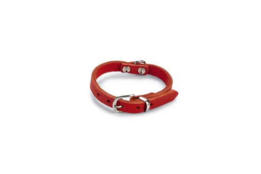 Beeztees - Halsband Hond - Leer - Rood - 17,5-22,5 cm x 10 mm