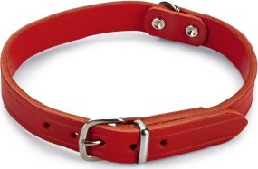 Beeztees - Halsband Hond - Leer - Rood - 35,5-41,5 cm x 18 mm