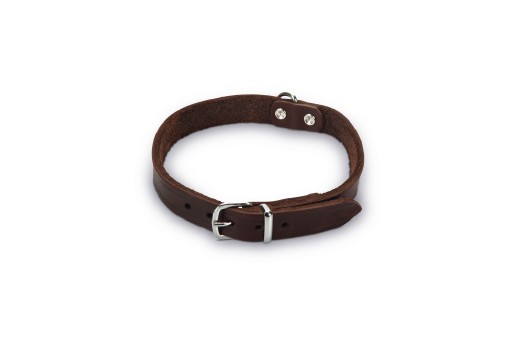 Beeztees - Halsband Hond - Leer - Bruin - 35,5-41,5 cm x 18 mm