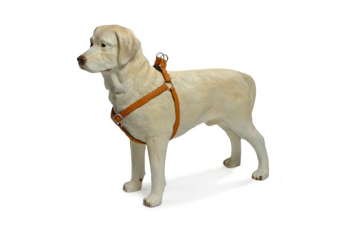 Afbeelding Hondentuig Mac Leather 41-59cm bruin door K-9 Security dogs