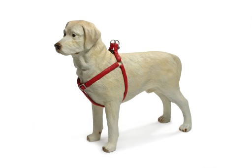 Afbeelding Hondentuig Mac Leather 35-60cm rood door K-9 Security dogs