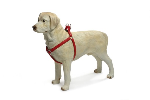 Afbeelding Hondentuig Mac Leather 50-75cm rood door K-9 Security dogs