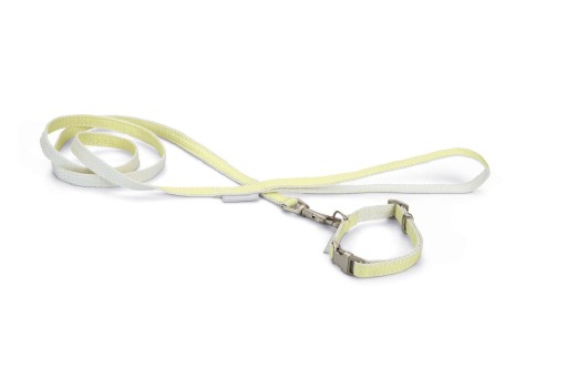 Beeztees Puppy Halsband & Lijn - Geel (20-30 cm)