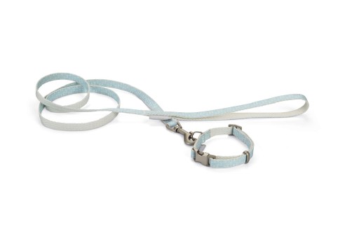 Beeztees Puppy Halsband & Lijn - Blauw (20-30 cm)