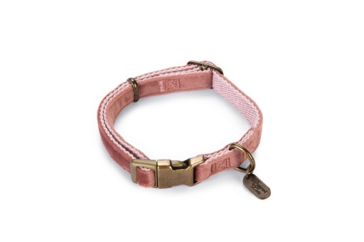 Designed by lotte velura - hondenhalsband - fluweel - roze - 26- 40cmx15mm