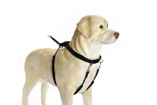 Beeztees Gentle Walker S (Westy) voor de hond Per stuk