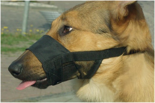 Afbeelding Comfort muilband verstelbaar zwart - L door K-9 Security dogs
