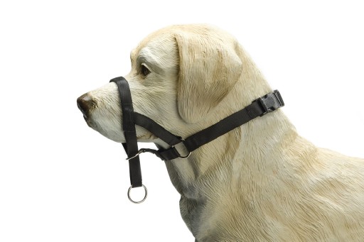 Afbeelding IPTS Dog control Nylon Zwart 24 cm door K-9 Security dogs