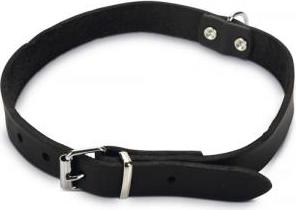 Beeztees - Halsband Hond - Leer - Zwart - 43-52 cm x 20 mm afbeelding