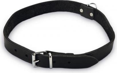 Beeztees - Halsband Hond - Leer - Zwart - 55-65 cm x 25 mm afbeelding