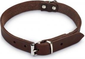 Beeztees - Halsband Hond - Leer - Bruin - 37,5-46,5 cm x 20 mm afbeelding