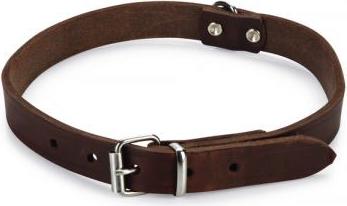 Beeztees - Halsband Hond - Leer - Bruin - 43-52 cm x 20 mm afbeelding