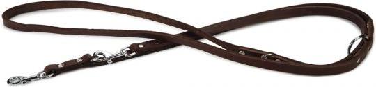 Beeztees - Hondenriem - Leer - Bruin - 200x12 cm