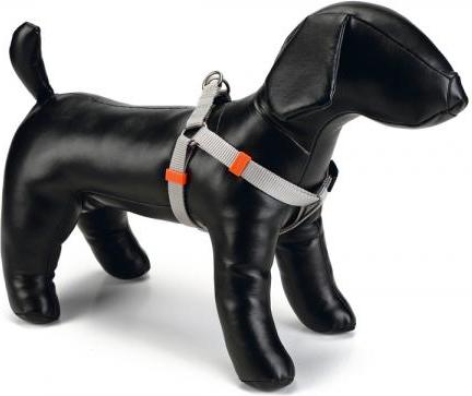 Beeztees Uni - Hondentuig - Lichtgrijs - 46-75 cm x 20 mm