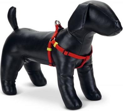 Beeztees Uni - Hondentuig - Rood - 35-60 cm x 15 mm afbeelding
