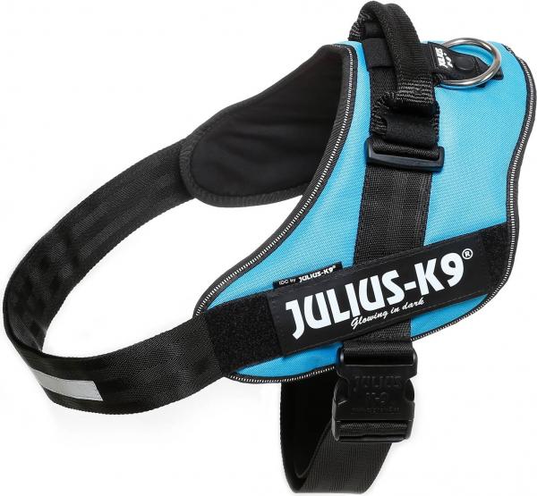 Julius-K9 IDC Powertuig Aquamarine