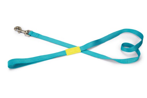 Beeztees uni - hondenriem - nylon - licht blauw - 120cmx20mm