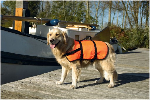 Afbeelding Zwemvest XS voor de hond Per stuk door K-9 Security dogs