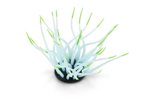 Beeztees Zeeanemoon - Aquariumdecoratie - Groen - 9,5 cm