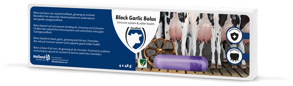 Black Garlic Bolus Rund