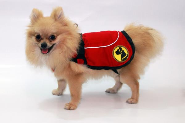 Dog Armor Knockdown Coat L 55Cm Ruglengte (Insect Shield)