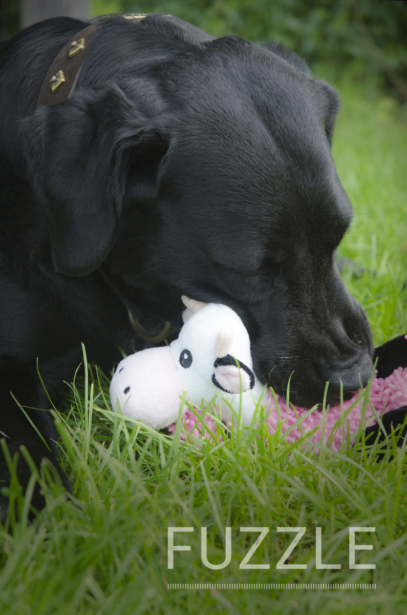 Afbeelding Fuzzle Giraffe met 5 Squeakers door K-9 Security dogs