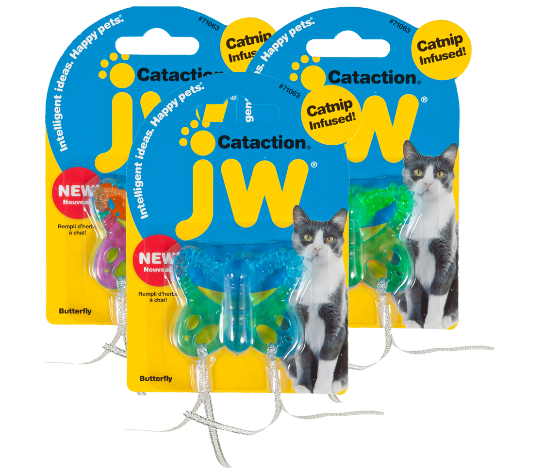 Jw Cataction Butterfly