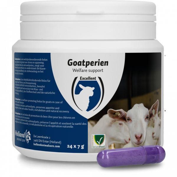 Goatperien Bolus Voor Geiten
