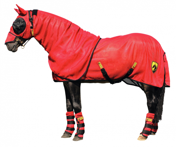 Horse Armor Knockdown Deken Ml 183 Cm (Insect Shield)