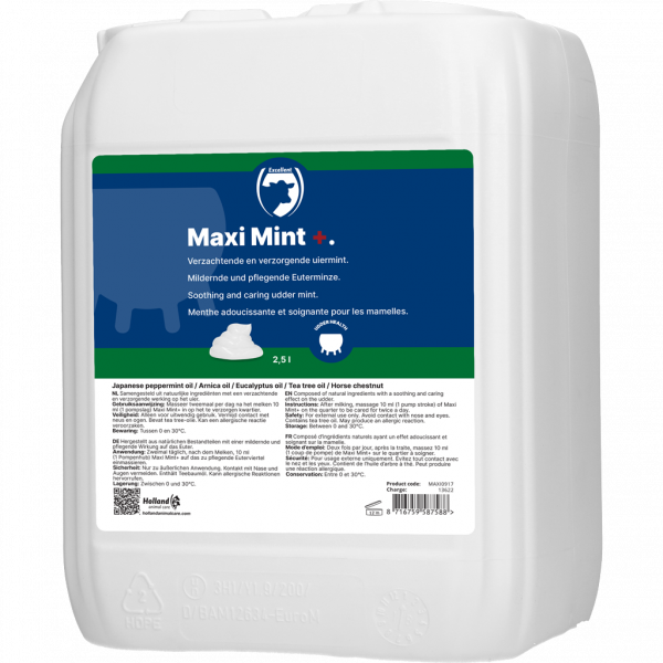 Maxi Mint Grootverpakking Incl. Dosator