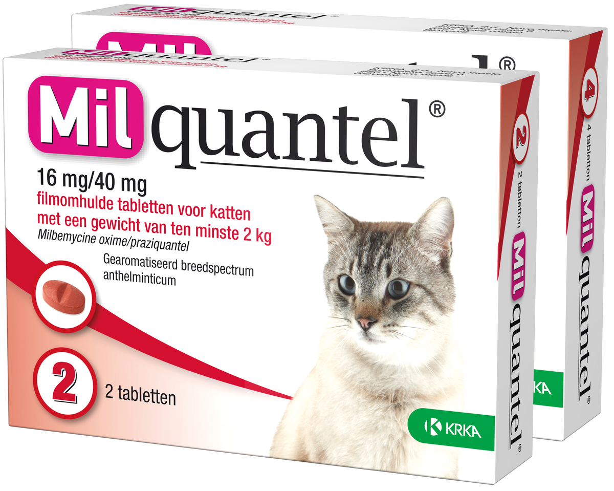 Amflee 50 mg Spot-on Kat (>1kg)