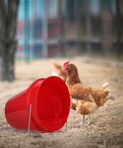 Pluimvee Drinkemmer Kunststof 6 L Red afbeelding