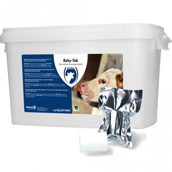 Rehy-Tab Plus (Bruistablet Kalverdiarree) 48 Tabl