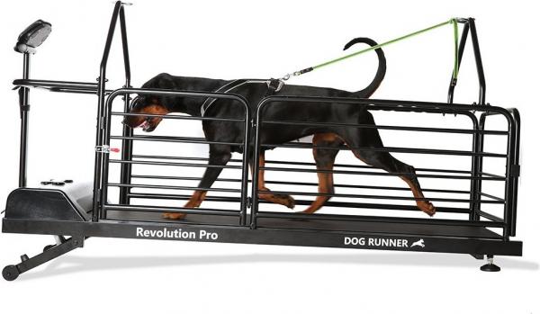 Dog runner revolution pro - hondenloopband