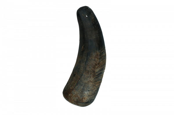 Viking Half Horn L