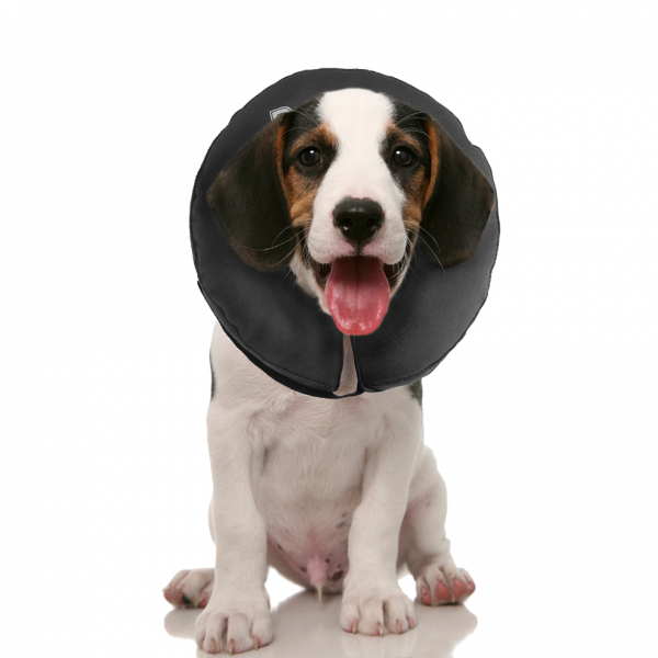 Zenpet Procollar Xs afbeelding