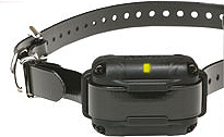 Dogtra Losse Trainings Halsband IQ Plus Zwart afbeelding