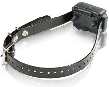 Dummy Halsband Iq Plus afbeelding